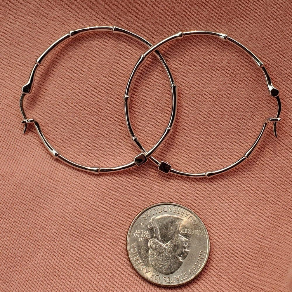 Elegant Silver Hoop Earrings